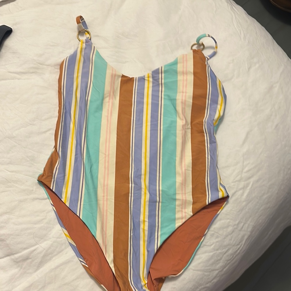 Dolce Vita Blue and Brown One Piece Swim with Vertical Stripes